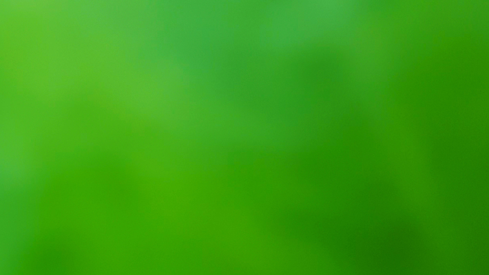 포토 JPG 해외이미지 템플릿 디자인 파도 백그라운드 잎 패턴 곡선 일러스트 자연 벽지 추상 미래 창조 미술 경사 사람없음 가로 초록색 빛 컬러풀 햇빛 우주 맑음 수중 공백 흐름 흰색 매끈함 소프트포커스 질감 보케 심플 부드러움 비네팅 깊이 블러 터키석 카피스페이스 해외일러스트 식물 선 바다 컬러 컨셉 무늬 날씨 문화예술 촬영기법 태양 감각 보석 생태계 파일형식 이미지허브