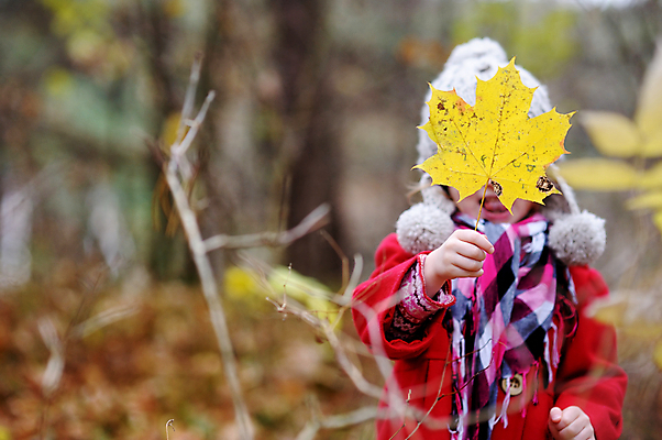 포토 JPG 해외이미지 백인 계절 공원 딸 행복 어린이 잎 자연 놀이 친절 건강 한명 야외 빨간색 초록색 컬러풀 노란색 봄 재킷 가을 청바지 아기 달콤 숲 작음 9월 11월 속도 10월 걸음마 스타일 해외포토 서양인 식물 1 공공시설 감정 컬러 바지 가족 모션 사람 외투 날짜 맛 크기 생태계 파일형식 이미지허브