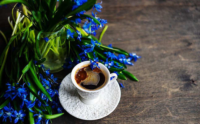 포토 JPG 해외이미지 커피 잎 사람없음 꽃병 커피잔 컵받침 나무탁자 카피스페이스 나무배경 해외포토 식물 꽃 음료 백그라운드 탁자 잔 공백 받침대 파일형식 이미지허브