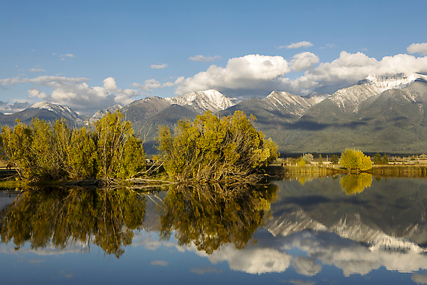 포토 JPG 해외이미지 나무 구름 계절 호수 여행 백그라운드 자연 하늘 산 파노라마 풍경 사람없음 야외 초록색 물 파란색 빛 컬러풀 반사 평화 환경 침묵 고요 거울 가을 시골 연못 황무지 숲 내추럴 절정 수평선 해외포토 자연요소 식물 컬러 컨셉 촬영기법 소리 생태계 파일형식 이미지허브