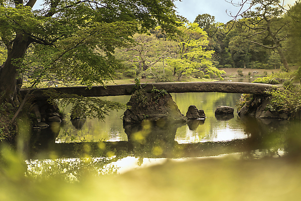 포토 JPG 해외이미지 나무 식물 구름 계절 공원 꽃잎 꽃 분홍색 백그라운드 잎 자연 하늘 사람없음 야외 파란색 컬러풀 정원 일본 봄 바위 흰색 나뭇가지 연못 신선 소나무 화려 도쿄 보케 붓꽃 내추럴 창백 방법 해외포토 자연요소 공공시설 아시아 컬러 컨셉 돌_바위 생태계 파일형식 이미지허브