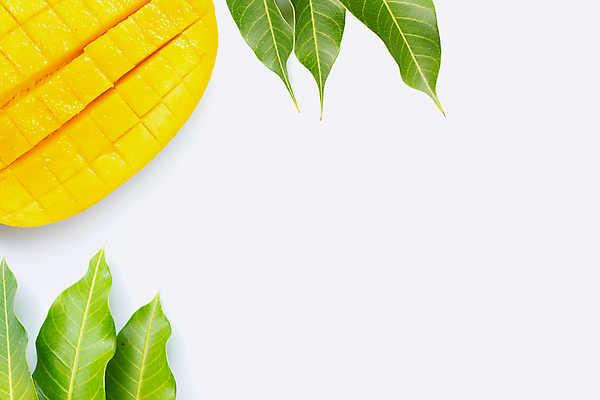 포토 JPG 해외이미지 잎 단면 실내 사람없음 열대과일 흰배경 슬라이스 망고 카피스페이스 해외포토 식물 백그라운드 과일 내부 공백 흰색 파일형식 이미지허브