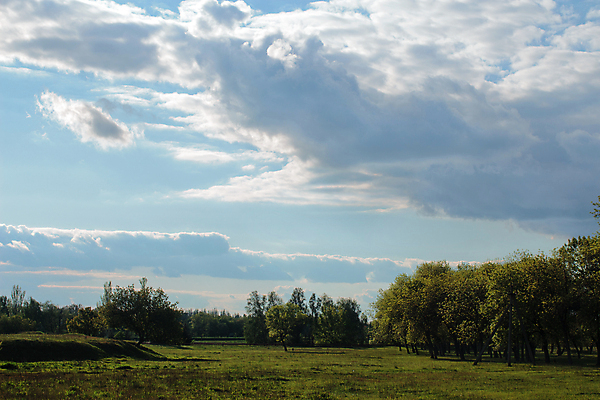 포토 JPG 해외이미지 나무 식물 구름 백그라운드 잎 밭 하늘 날씨 휴식 풍경 잔디 사람없음 가로 초록색 파란색 햇빛 노란색 우주 어둠 침묵 자유 성장 벨트 흰색 시골 신선 숲 땅 언덕 그림 장면 지역 멀리 무거움 흐림 평야 해외포토 자연요소 잡화 컬러 컨셉 농업 자연 태양 소리 무게 파일형식 이미지허브