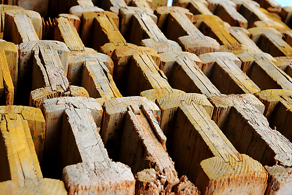 포토 JPG 해외이미지 백그라운드 패턴 자연 표면 날씨 추상 사람없음 목재 거친 질감 잡동사니 내추럴 그런지 수목 해외포토 나무 무늬 재료 생태계 파일형식 이미지허브