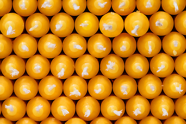 포토 JPG 해외이미지 모양 기념일 백그라운드 패턴 촛불 가정 불 추상 선반 미술 사람없음 장식 빛 노란색 세일 상점 화목 가전제품 축하 생일 막대기 그룹 시장 선택 수집 배열 가득함 촛대 상업 매듭 향기 연소 줄서기 많음 막 해외포토 자연요소 컬러 가구 컨셉 무늬 초 모션 문화예술 이벤트 냄새 파일형식 이미지허브