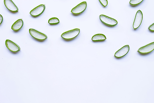 포토 JPG 해외이미지 스튜디오촬영 단면 실내 사람없음 흰배경 알로에 해외포토 식물 백그라운드 내부 흰색 파일형식 이미지허브