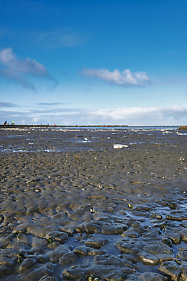 포토 JPG 해외이미지 산업 지구 모래 바다 백그라운드 자연 사람 사람없음 치료 물 파란색 쌓기 환경 금속 재활용 화물 바위 환경오염 쓰레기 폐기물 컨테이너 플라스틱 청소 버리기 진흙 패키지 지구온난화 낭비 생태학 재앙 화학물질 해외포토 자연요소 교육 컬러 컨셉 의학 모션 재질 운송업 돌_바위 화학 친환경 생태계 기후변화 파일형식 이미지허브