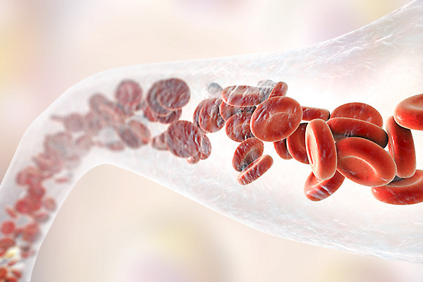 포토 JPG 해외이미지 세포 사람없음 3D 혈관 적혈구 혈구 해외포토 장기_의학 디지털합성 파일형식 이미지허브