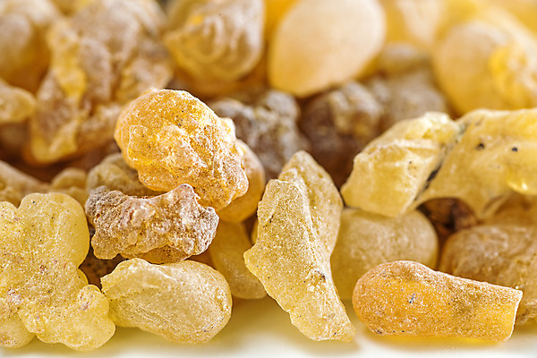 포토 JPG 해외이미지 자연 흡연 사람없음 치료 약 건강관리 질병 순수 완두콩 향기 신성 치료제 해외포토 컨셉 의학 콩 담배 건강 관리 생태계 냄새 파일형식 이미지허브