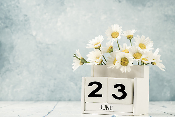 포토 JPG 해외이미지 식물 템플릿 계절 꽃 꽃다발 백그라운드 컨셉 탁자 사람없음 목재 숫자 노란색 다이어리 블록 수확 달력 흰색 시간 날짜 계획 6월 연도 큐브 오브젝트 질감 복고 데이지 내추럴 월 옛날 오늘 조언 카피스페이스 해외포토 나무 문자 컬러 가구 농업 재료 사무용품 공백 파일형식 이미지허브