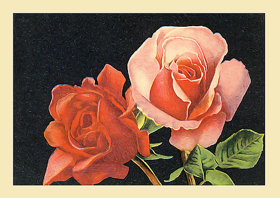 JPG 해외이미지 꽃 분홍색 일러스트 미술 사람없음 빨간색 장미 두송이 그림 손그림 해외일러스트 식물 컬러 2 문화예술 파일형식 이미지허브