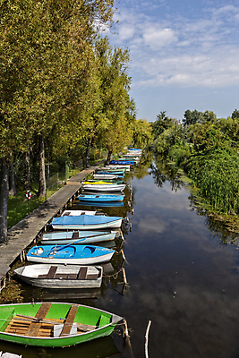 포토 JPG 해외이미지 나무 계절 유럽 호수 파도 여행 자연 벽지 날씨 휴가 휴식 풍경 사람없음 야외 초록색 물 여름 파란색 강 컬러풀 햇빛 반사 일출 항구 맑음 일몰 수확 연못 보트 숲 버드나무 엽서 헝가리 내추럴 해외포토 자연요소 식물 나라 바다 컬러 컨셉 농업 배_교통 교통시설 태양 노을 편지 생태계 동유럽 파일형식 이미지허브