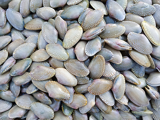 포토 JPG 해외이미지 전통 음식 백그라운드 패턴 자연 표면 조개 요리 사람없음 세일 주방 수중 식사 저녁식사 젖음 신선 서핑 그룹 시장 맛 먹기 해산물 묘사 메뉴 준비 유기농 질감 날것 건강식 내추럴 점심식사 해외포토 웰빙 컨셉 무늬 모션 어패류 수상스포츠 생태계 파일형식 이미지허브