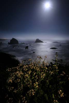 포토 JPG 해외이미지 공원 바다 분홍색 섬 자연 하늘 풍경 사람없음 야외 건물 물 여름 파란색 노란색 검은색 미국 어둠 황혼 일몰 역사 황금 야간 저녁 큼 캘리포니아 태평양 북쪽 옛날 해외포토 자연요소 건축물 계절 공공시설 컬러 북아메리카 노을 크기 방향 생태계 파일형식 이미지허브