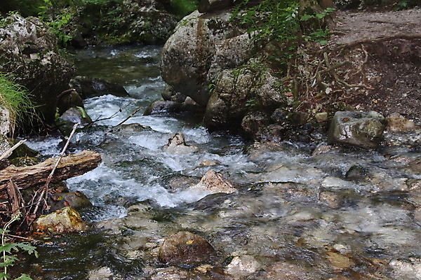 포토 JPG 해외이미지 식물 백그라운드 잎 자연 산 이끼 풍경 사람없음 초록색 물 강 환경 침묵 봄 폭포 바위 개울 황무지 티켓 수증기 숲 작음 운하 그리너리 해외포토 자연요소 계절 컬러 소리 돌_바위 크기 생태계 파일형식 트랜드컬러 이미지허브