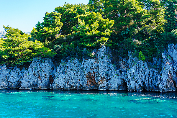 포토 JPG 해외이미지 나무 구름 바다 여행 하늘색 자연 하늘 산 풍경 경사 사람없음 야외 초록색 물 여름 햇빛 태양 반사 도시 만 보트 서핑 휴양지 노려봄 몬테네그로 생태학 석회암 터키석 수평선 해외포토 자연요소 식물 계절 교육 컬러 배_교통 표정 파란색 장소 암석 수상스포츠 보석 생태계 파일형식 이미지허브