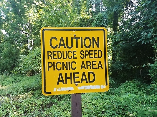 포토 JPG 해외이미지 식물 공원 경고 사람없음 초록색 소풍 노란색 사인 속도 줄이기 해외포토 공공시설 컬러 모션 야외활동 파일형식 이미지허브