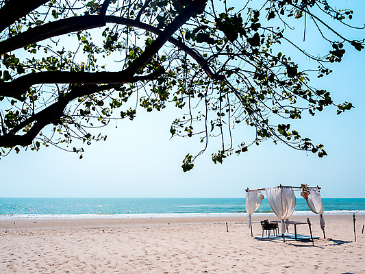 포토 JPG 해외이미지 나무 커플 모래 바다 섬 여행 결혼 의자 태국 탁자 하늘 휴가 풍경 사람없음 야외 장식 여름 파란색 평화 우주 식당 식사 저녁식사 흰색 축하 뜨거움 고급 휴양지 설정 이국적 파라다이스 해외포토 식물 계절 아시아 컬러 가구 컨셉 관계 이벤트 상점 장소 파일형식 이미지허브