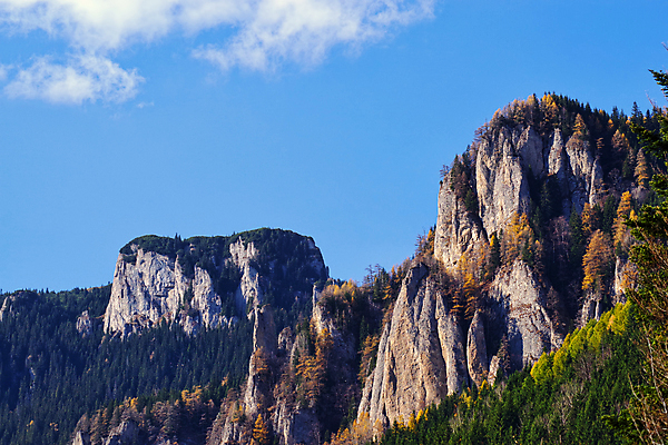 포토 JPG 해외이미지 나무 계절 공원 여행 잎 오렌지 자연 하늘 산 풍경 사람없음 야외 초록색 파란색 노란색 계곡 침묵 하이킹 가을 시골 소나무 정상 숲 배열 언덕 장면 산봉우리 10월 내추럴 명승지 지질학 산맥 해외포토 식물 공공시설 교육 컬러 과일 레저 소리 날짜 생태계 봉우리 파일형식 이미지허브