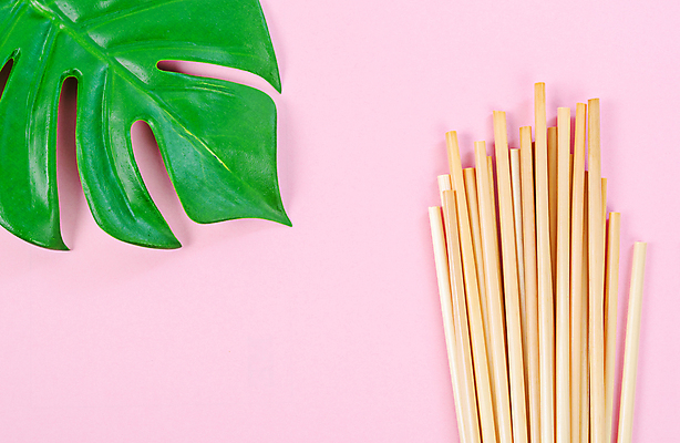 포토 JPG 해외이미지 실내 사람없음 자연보호 오브젝트 에코 친환경 에코라이프 몬스테라 친환경제품 분홍색배경 제로웨이스트 밀빨대 해외포토 식물 라이프스타일 분홍색 백그라운드 자연 빨대 내부 환경 그린캠페인 보호 사회이슈 파일형식 이미지허브