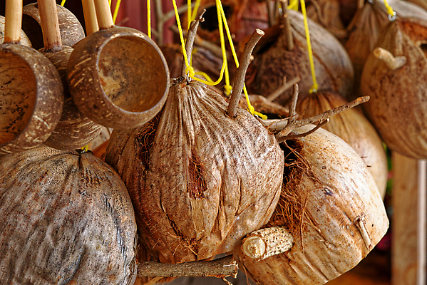 포토 JPG 해외이미지 식물 전통 디자인 계절 아시아 문화 백그라운드 과일 태국 자연 건강 선물 미술 동양인 사람없음 목재 장식 갈색 바구니 견과류 수확 껍질 업무 사발 시장 닫기 상품 오브젝트 유기농 기념품 코코넛 수공예 내추럴 등나무 옛날 핸드메이드 스타일 해외포토 나무 웰빙 나라 컬러 농업 재료 모션 문화예술 인종 작업 사기그릇 공예 생태계 파일형식 이미지허브
