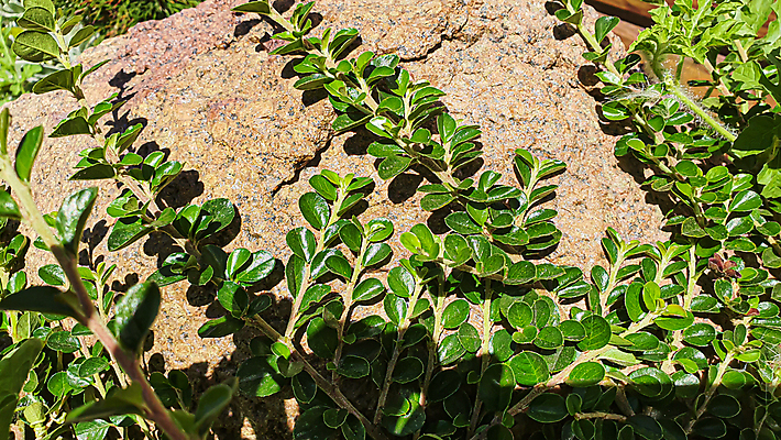 포토 JPG 해외이미지 어린이 백그라운드 컨셉 패턴 곡선 창문 자연 탁자 표면 추상 새로움 바닥 프레임 서기 웃음 사람없음 장식 울타리 갈색 어둠 골동품 시골 판넬 매끈함 자르기 질감 복고 엽서 라이터 잡동사니 옛날 그리너리 해외포토 선 컬러 가구 무늬 모션 표정 사람 담장 감각 편지 생태계 파일형식 트랜드컬러 이미지허브