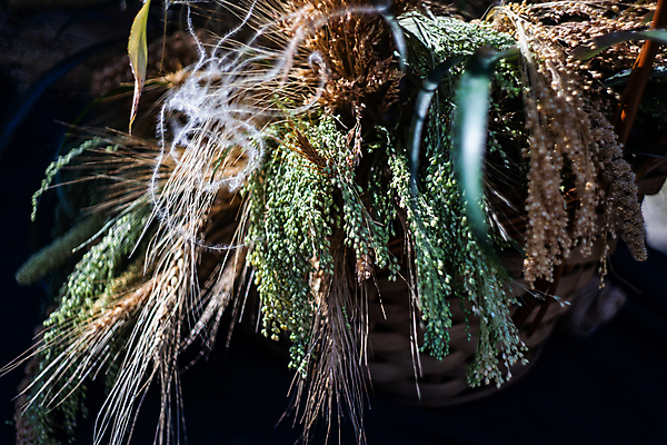 포토 JPG 해외이미지 전통 음식 빵 크리스마스 재료 탁자 검은배경 휴가 피자 요리 씨앗 사람없음 목재 쿠키 우주 케이크 주방 계란 숟가락 어둠 빵집 수확 흰색 기구 밀 굽기 준비 밀가루 성분 페스츄리 핸드메이드 해외포토 나무 식물 기념일 컬러 가구 백그라운드 농업 디저트 곡류 패스트푸드 서양음식 수저 상점 알 검은색 가루 구이 파일형식 이미지허브