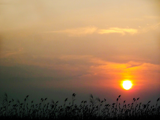 포토 JPG 해외이미지 식물 구름 캐릭터 계절 꽃 실루엣 호수 음식 밭 농업 오렌지 자연 하늘 아침 그림자 풍경 사람없음 야외 빨간색 물 여름 파란색 빛 농작물 햇빛 태양 농장 반사 갈색 일출 검은색 어둠 일몰 활발 성장 광선 가을 시골 신선 황금 수평선 해외포토 주간 자연요소 산업 컬러 컨셉 과일 촬영기법 노을 생태계 파일형식 이미지허브