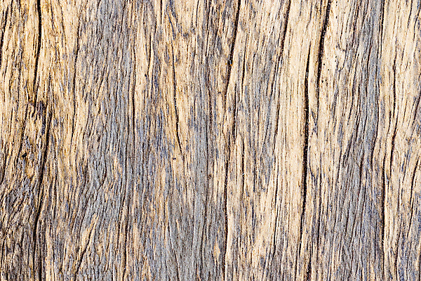 포토 JPG 해외이미지 나무 식물 디자인 벽 가구 백그라운드 패턴 곡선 자연 벽지 표면 추상 바닥 주택 사람없음 목재 장식 빨간색 갈색 줄무늬 수확 소나무 판넬 거친 균열 묘사 질감 복고 통나무 먼지 잡동사니 거짓 수목 엘리먼트 옛날 해외포토 선 컬러 생활용품 무늬 농업 재료 모션 건물 생태계 파일형식 이미지허브