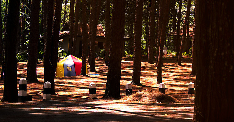 포토 JPG 해외이미지 나무 계절 공원 여행 백그라운드 태국 자연 하늘 휴가 휴식 텐트 풍경 사람없음 야외 목재 초록색 여름 빛 컬러풀 태양 환경 정원 일몰 소나무 숲 북쪽 내추럴 해외포토 자연요소 식물 공공시설 아시아 컬러 컨셉 재료 캠핑도구 노을 방향 생태계 파일형식 이미지허브