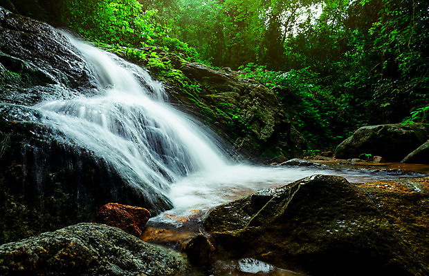 포토 JPG 해외이미지 나무 식물 공원 아시아 여행 백그라운드 잎 태국 자연 휴가 휴식 산 이끼 풍경 사람없음 야외 초록색 물 여름 빛 강 환경 폭포 흐름 가을 바위 개울 수증기 숲 열대우림 명상 천국 전국 파라다이스 그리너리 해외포토 자연요소 계절 공공시설 나라 컬러 컨셉 생태계 파일형식 트랜드컬러 이미지허브