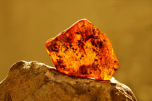 포토 JPG 해외이미지 자연 사람없음 빛 주황색 투명 보석 화석 앰버 해외포토 컬러 광석 생태계 파일형식 이미지허브