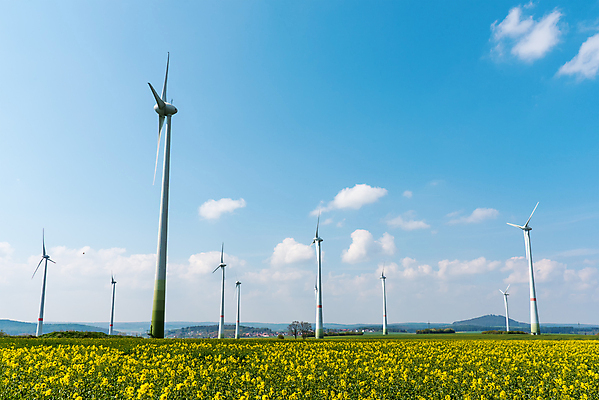 포토 JPG 해외이미지 식물 꽃 농업 자연 바람 사람없음 농작물 글로벌 농장 노란색 환경 힘 풍차 발전기 에너지 벚꽃 바퀴 개화 낟알 시리얼 유채 엔진 유지 온실 효과 해외포토 자연요소 산업 음식 컬러 날씨 발전소 생태계 파일형식 이미지허브