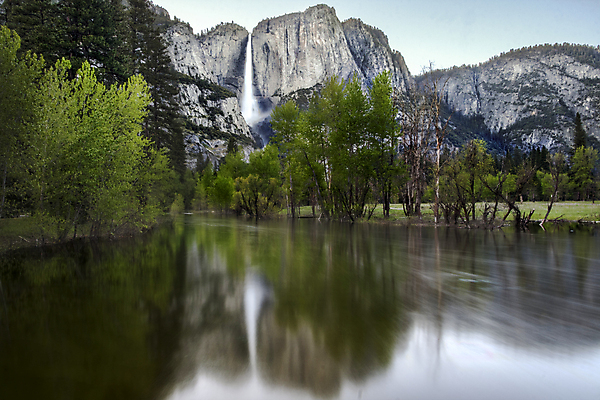 포토 JPG 해외이미지 나무 식물 자연 산 풍경 사람없음 물 환경 계곡 미국 폭포 숲 캘리포니아 요세미티국립공원 전국 화강암 해외포토 자연요소 북아메리카 국립공원 암석 생태계 파일형식 이미지허브