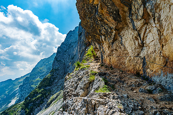 포토 JPG 해외이미지 나무 여행 밭 자연 하늘 휴가 산 파노라마 국립공원 풍경 사람없음 야외 초록색 여름 파란색 농장 봄 트래킹 하이킹 시골 오스트리아 정상 숲 알프스 타운 방갈로 샬레 잘츠부르크 바이에른 바이에른사람 해외포토 식물 계절 공원 유럽 컬러 농업 숙소 레저 독일 촬영기법 실험기구 도시 생태계 파일형식 이미지허브