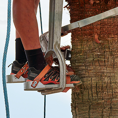 포토 JPG 해외이미지 나무 식물 직업 손 꽃 산업 백그라운드 컨셉 잎 노동자 손바닥 안전 사람 사람없음 야외 초록색 파란색 금속 정원 힘 장비 공구 악단 업무 작업 플랫 캔 보호 위험 자르기 물주기 원예 오르기 고무 고립 돌봄 수목 엘리먼트 원예사 철강 카피스페이스 해외포토 음악 컬러 모션 재질 취미 신체부위 공백 도구 파일형식 이미지허브