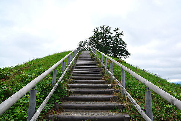 포토 JPG 해외이미지 나무 동물 외관 공원 길 여행 백그라운드 건축양식 자국 자연 하늘 산 풍경 사람없음 야외 목재 여름 파란색 빛 평화 계단 환경 일본 맑음 산책 트래킹 가을 양 역사 오솔길 언덕 단계 내추럴 방법 해외포토 식물 계절 공공시설 건축 아시아 컬러 컨셉 재료 포유류 레저 날씨 휴식 생태계 파일형식 이미지허브