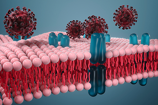 JPG 해외이미지 의학 세포 사람없음 파란색 3D 바이러스 세포막 해외포토 포토 컬러 디지털합성 파일형식 이미지허브