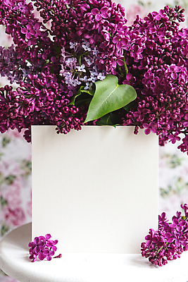 포토 JPG 해외이미지 종이 나뭇잎 프레임 사람없음 아웃포커스 라일락 목업 해외포토 꽃 잎 촬영기법 파일형식 이미지허브