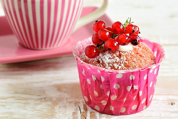 포토 JPG 해외이미지 열매 커피 티타임 사람없음 달콤 커피잔 컵케이크 해외포토 식물 음료 휴식 잔 케이크 맛 파일형식 이미지허브