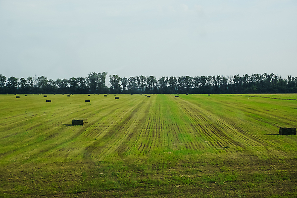 포토 JPG 해외이미지 계절 음식 백그라운드 패턴 밭 농업 자연 풍경 사람없음 초록색 여름 파란색 농작물 농장 노란색 쌓기 가축 일몰 수확 가을 시골 원형 그룹 황금 건초더미 볏짚 먹이 오브젝트 준비 서식 만들기 뭉치 밀짚 흙더미 밭일 화창 해외포토 도형 동물 산업 컬러 무늬 모션 날씨 노을 흙 건초 짚 생태계 파일형식 더미 이미지허브