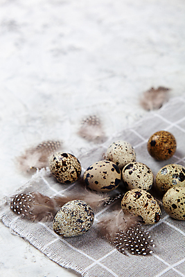 포토 JPG 해외이미지 전통 디자인 계절 행복 음식 백그라운드 컨셉 패턴 재료 자연 조류 휴가 건강 사람없음 장식 농장 갈색 우주 축제 치킨 봄 회색 수확 흰색 시골 축하 그룹 플랫 둥지 작음 먹기 심볼 깃털 유기농 질감 부활절계란 내추럴 메추리 콘크리트 해외포토 동물 웰빙 감정 컬러 무늬 농업 모션 부활절 계란 크기 생태계 닭고기요리 파일형식 이미지허브