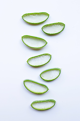 포토 JPG 해외이미지 스튜디오촬영 단면 실내 사람없음 하이앵글 흰배경 알로에 해외포토 식물 뷰포인트 백그라운드 내부 흰색 파일형식 이미지허브