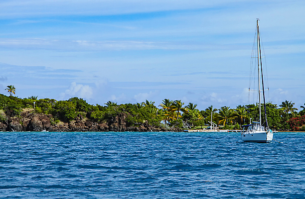 포토 JPG 해외이미지 나무 파도 바다 섬 여행 교통시설 자연 휴가 항해 손바닥 풍경 사람없음 야외 초록색 물 여름 파란색 흰색 보트 관목 닻 카피스페이스 해외포토 자연요소 식물 손 계절 컬러 교통 배_교통 공백 시설 생태계 파일형식 이미지허브