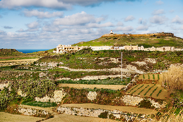 포토 JPG 해외이미지 식물 구름 섬 겨울 밭 농업 자연 산 등대 사람없음 건물 초록색 마을 바위 지중해 언덕 내추럴 몰타섬 파멸 수평선 해외포토 자연요소 건축물 계절 산업 바다 컬러 컨셉 돌_바위 생태계 몰타 파일형식 소멸 이미지허브