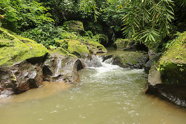포토 JPG 해외이미지 나무 공원 벽 여행 백그라운드 자연 산 풍경 사람없음 야외 초록색 물 여름 강 평화 환경 골짜기 봄 폭포 흐름 암석 바위 개울 황무지 숲 그늘 열대우림 질감 발리 인도네시아 내추럴 해외포토 자연요소 식물 계절 공공시설 아시아 컬러 섬 컨셉 돌_바위 생태계 파일형식 이미지허브