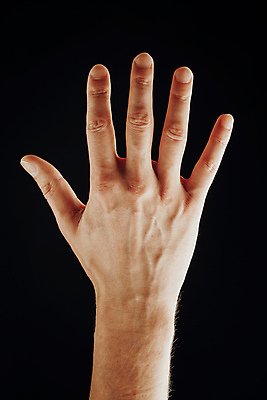 포토 JPG 해외이미지 손 남자 백그라운드 손가락 해부 노동자 건강 손바닥 사람 사람없음 신체부위 빛 검은색 어둠 선탠 손목 피부 심플 쇼 5 팔 고립 해외포토 직업 컬러 의학 숫자 파일형식 이미지허브