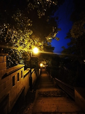 포토 JPG 해외이미지 나무 손 도로 음식 여행 백그라운드 가로등 학교 가족 자동차 하늘 추상 거리 주택 미술 서기 사람 사람없음 야외 건물 초록색 빛 사무실 유행 운전 기차 흰색 도시 야간 큼 주차 책상 사인 문학 단상 고립 그만 선로 해외포토 자연요소 식물 건축물 공공시설 교육 길 육상교통 컬러 가구 무늬 비즈니스 관계 교통시설 모션 문화예술 대중교통 신체부위 크기 파일형식 이미지허브