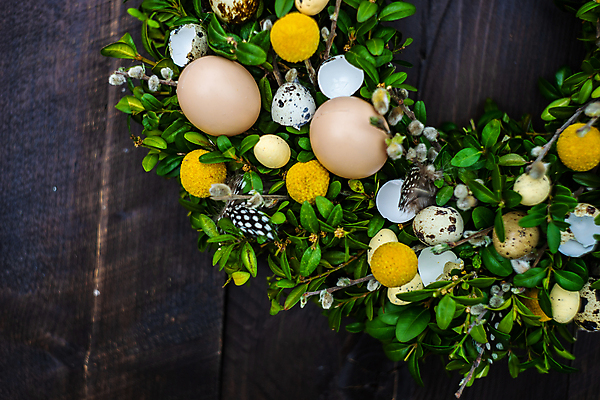 포토 JPG 해외이미지 나무 식물 꽃 백그라운드 꽃무늬 탁자 휴가 부활절 프레임 사람없음 초록색 파란색 세트 노란색 계란 축제 봄 벚꽃 나뭇가지 시골 신용카드 둥지 설정 구성 파스텔톤 카피스페이스 해외포토 계절 기념일 컬러 가구 무늬 금융 알 공백 파일형식 이미지허브