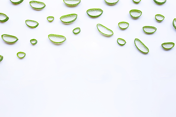 포토 JPG 해외이미지 스튜디오촬영 단면 실내 사람없음 흰배경 알로에 해외포토 식물 백그라운드 내부 흰색 파일형식 이미지허브